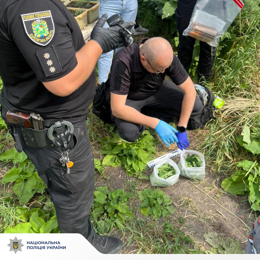 На Харківщині дрон допоміг викрити наркорослини в приватному дворі